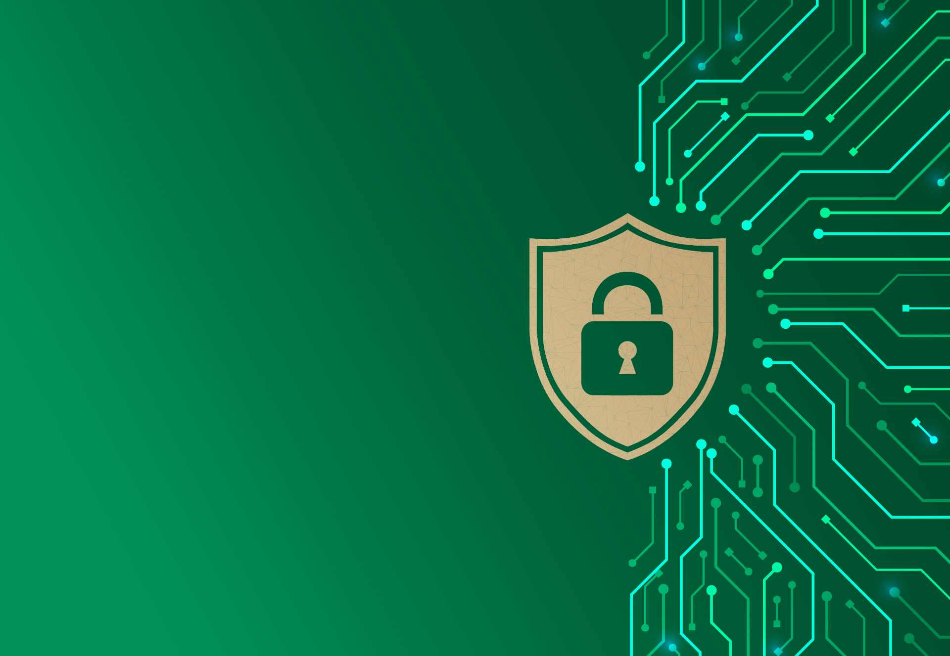 green background with image of gold shield and lock