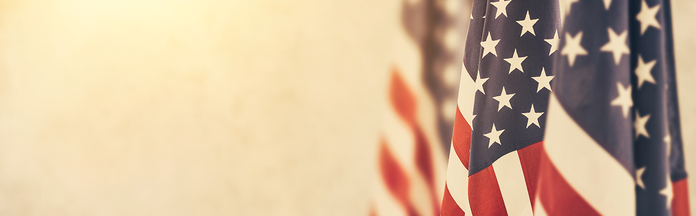 American Flag on left side of beige background image